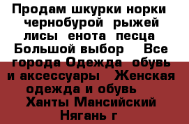 Продам шкурки норки, чернобурой, рыжей лисы, енота, песца. Большой выбор. - Все города Одежда, обувь и аксессуары » Женская одежда и обувь   . Ханты-Мансийский,Нягань г.